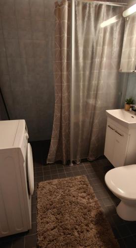 a bathroom with a toilet and a shower and a rug at Sorvarinraitin sydän in Seinäjoki
