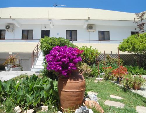 Gallery image of Evi Apartments And Studios in Theologos