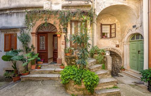 Apartment Avelina
