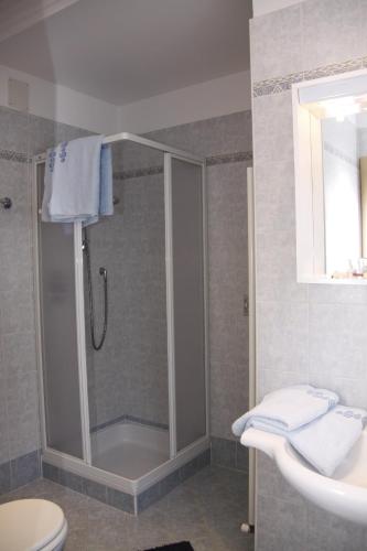 a bathroom with a shower and a toilet and a sink at Residence Wiesenheim in Trodena
