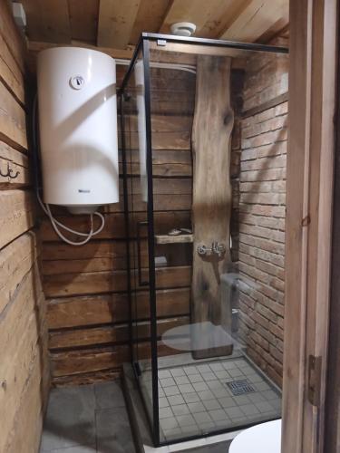 a bathroom with a shower with a toilet in it at Arakaoja Puhkemaja in Nepste