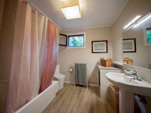 a bathroom with a sink and a shower curtain at Uribe-Biscay in Menaka