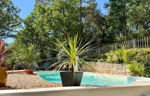 a palm plant in a pot next to a swimming pool at Villa Magrado in Entrecasteaux