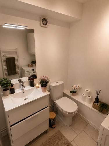 a bathroom with a toilet and a sink and a mirror at Le Duplex Thionville centre Gare à pied in Thionville