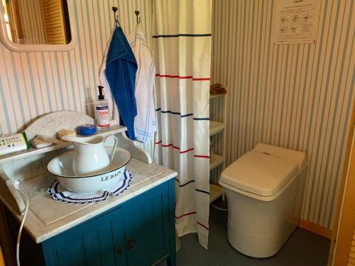 a small bathroom with a toilet and a sink at Mosters hus in Gansbyn