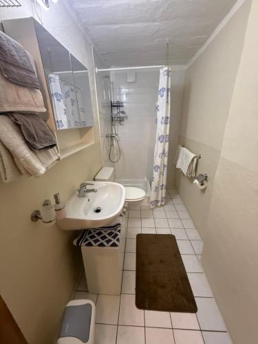 a small bathroom with a sink and a shower at La Pergola in Avegno