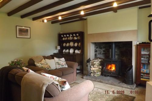 a living room with two couches and a fireplace at Hillis Close Farm in Haltwhistle