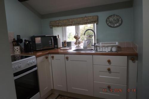 a kitchen with a sink and a microwave at Hillis Close Farm in Haltwhistle