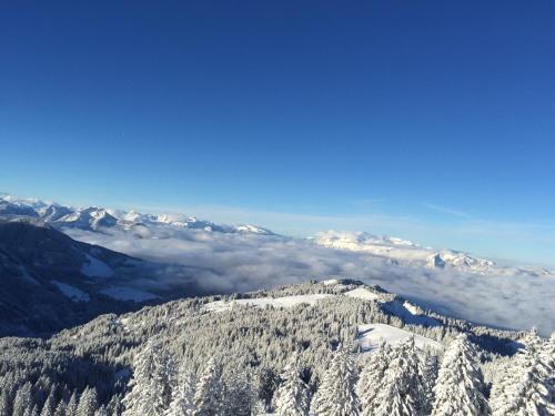 a view of a mountain with snow covered trees at Sunnaschi Appartements - Wohnungen oder gesamt als "Hütte" in Laterns