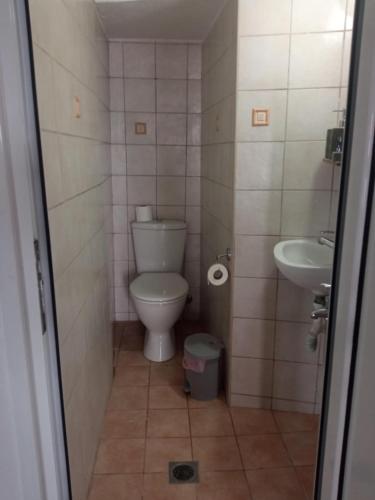 a small bathroom with a toilet and a sink at The stone house in Doukádes