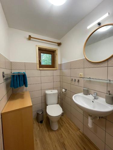 a bathroom with a toilet and a sink and a mirror at Komorník Residence 14 in Kunžak