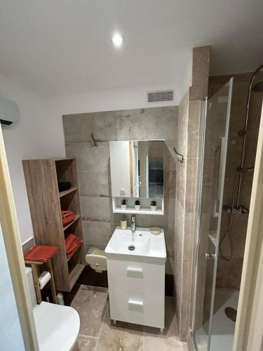 a bathroom with a sink and a shower at La dependance in Saint-Gilles