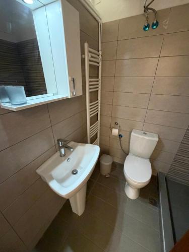 a bathroom with a toilet and a sink at Derveni Nest Apartment in Rodhéa