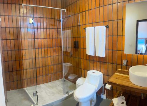 a bathroom with a shower and a toilet and a sink at Tapalpa Hotel Casa Colibrí in Tapalpa