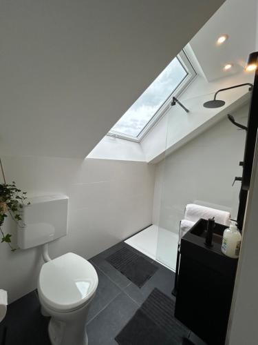 a bathroom with a white toilet and a skylight at Ferienhaus Luisl & Hilde in Unterammergau
