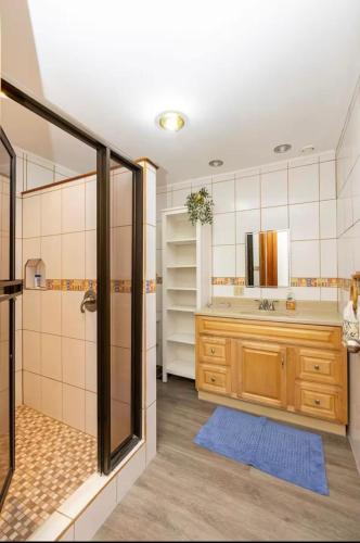a bathroom with a shower and a sink at Blue Mountains Cabin in Boquete