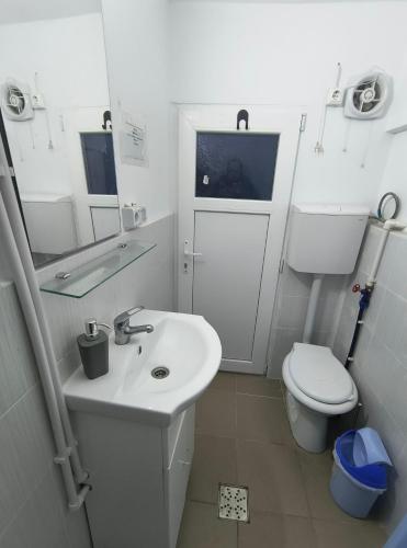 a small bathroom with a sink and a toilet at Stufstock Hostel in Sulina