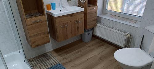 a bathroom with a toilet and a sink at penzion U Soudu in Liberec