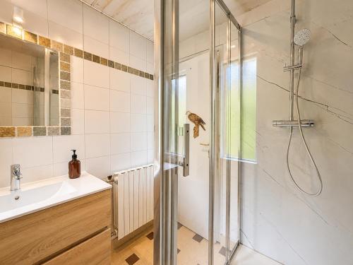 a bathroom with a shower and a sink at Chalet Génépi in Montriond
