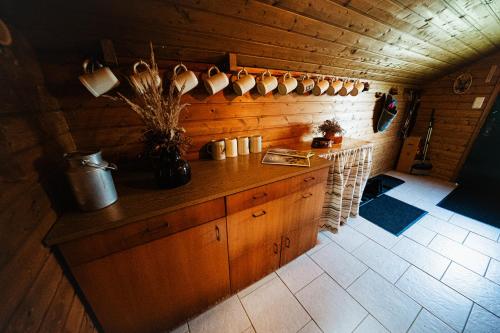 a kitchen with a counter in a wooden cabin at Almhütte am Steirischen Seeberg in Turnau