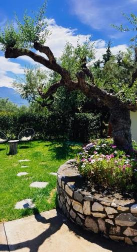 Foto The Secret Garden at Villa Georgia Kalamata 4