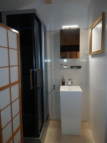 a bathroom with a white sink and a shower at Mas du pommier Gala in Gagnières