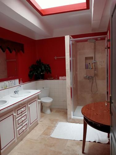a bathroom with a shower and a sink and a toilet at Chambre d'hôtes in Puimoisson