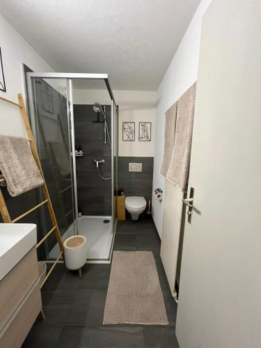 a bathroom with a shower and a toilet and a sink at Layla's in Zermatt