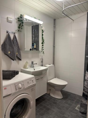 a bathroom with a washing machine and a sink at Mirella in Tampere