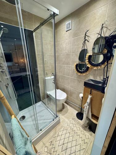 a bathroom with a shower and a toilet at La MaisonneTTe d'ElodibiZa ! in Moret-sur-Loing
