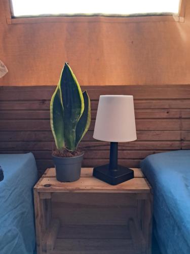 a lamp and a plant on a table next to two beds at Cabane Le Nid - CANAL DU MIDI in Carcassonne