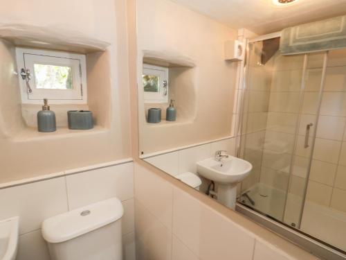 a bathroom with a toilet and a sink and a mirror at Beudy Bach in Llanbedr