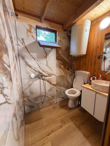 a bathroom with a shower and a toilet and a sink at Vila Kadiu in Klos