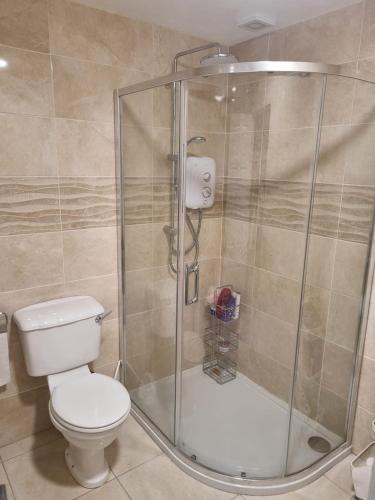 a bathroom with a toilet and a shower at Large Holiday Apartment Enniscrone in Enniscrone