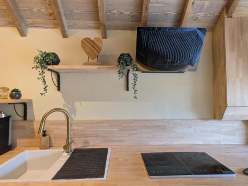 a kitchen with a sink and a tv on the wall at Domaine du Bois l'Abbé - Le Nid in Saint-Martin-Boulogne