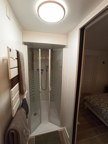 a shower with a glass door in a bathroom at Le nid des mésanges in Veigné