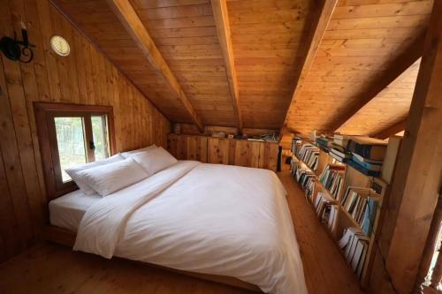 a bedroom with a bed in a wooden room at Vila Kadiu in Klos