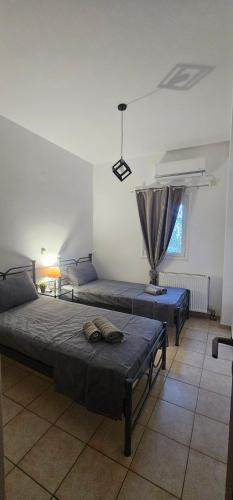 a bedroom with two beds and a window at MaryAnn's house in Livadi