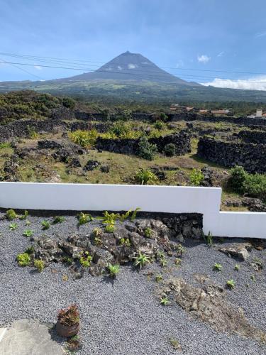 a white bench sitting on top of a mountain at Casa Dos Arcos Oceanfront Apartments in Arcos