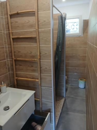 a bathroom with a shower and a white sink at Ghiso'Lodge in Ghisonaccia