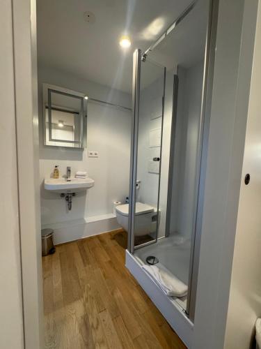 a bathroom with a shower and a toilet and a sink at AltstadtOase in Konstanz