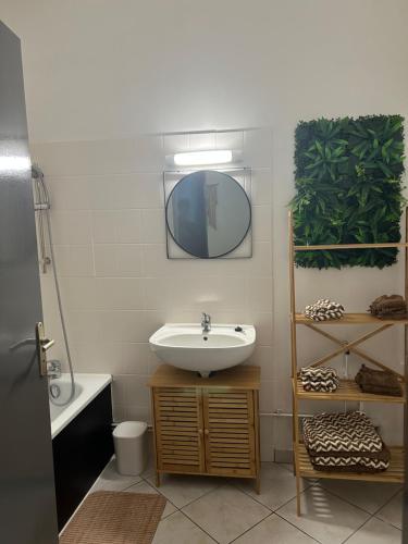 a bathroom with a sink and a mirror at Le Néococoon in Neufchâteau