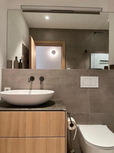 a bathroom with a white sink and a toilet at The Mountain Nest in Russbach am Pass Gschütt