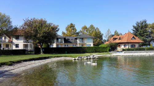 a house and a pond with a swan in the water at Panoráma Villa in Balatonboglár