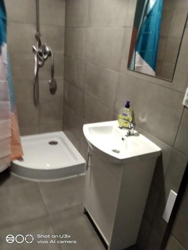 a bathroom with a sink and a toilet and a shower at Noclegi Tuszyn S in Tuszyn