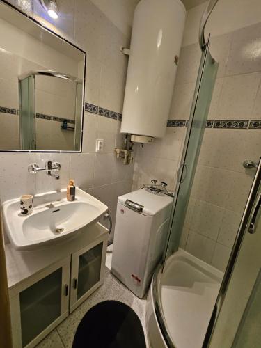 a bathroom with a sink and a shower at 2 bedroom apartment, near Xbionic in Šamorín