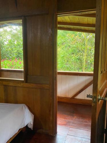 a bedroom with two windows and a bed in it at Hotel El Abrazo del Arbol in Mindo