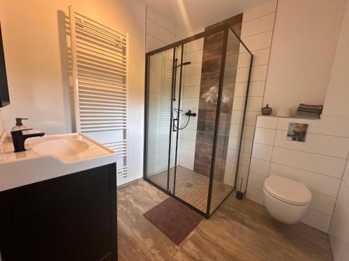 a bathroom with a shower and a toilet and a sink at Dom przy Panke in Kolonie Röntgental