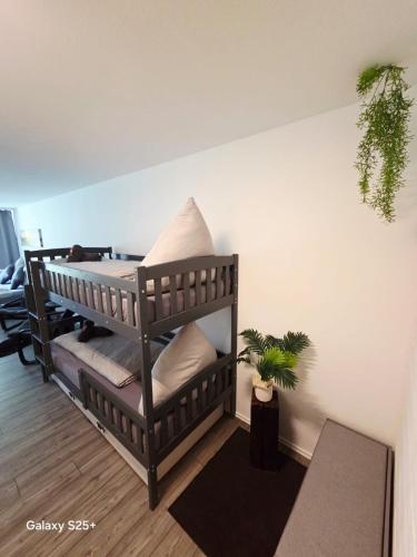 a room with a shelf with pillows and a plant at Ferienwohnung Molly inclusive Hallenbad, Sauna, Fitnessstudio und Aussenpool in Sankt Englmar