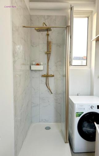 a shower in a bathroom with a washing machine at Laurier-Rose Gîte in Châteaudun